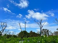 -天鹅湖体育公园