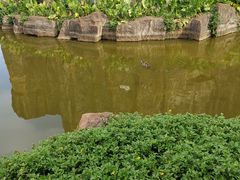 -海南热带野生动植物园