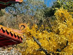 -青岩寺风景区