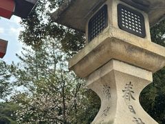 -奈良公园