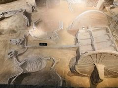 -洛阳周王城天子驾六博物馆