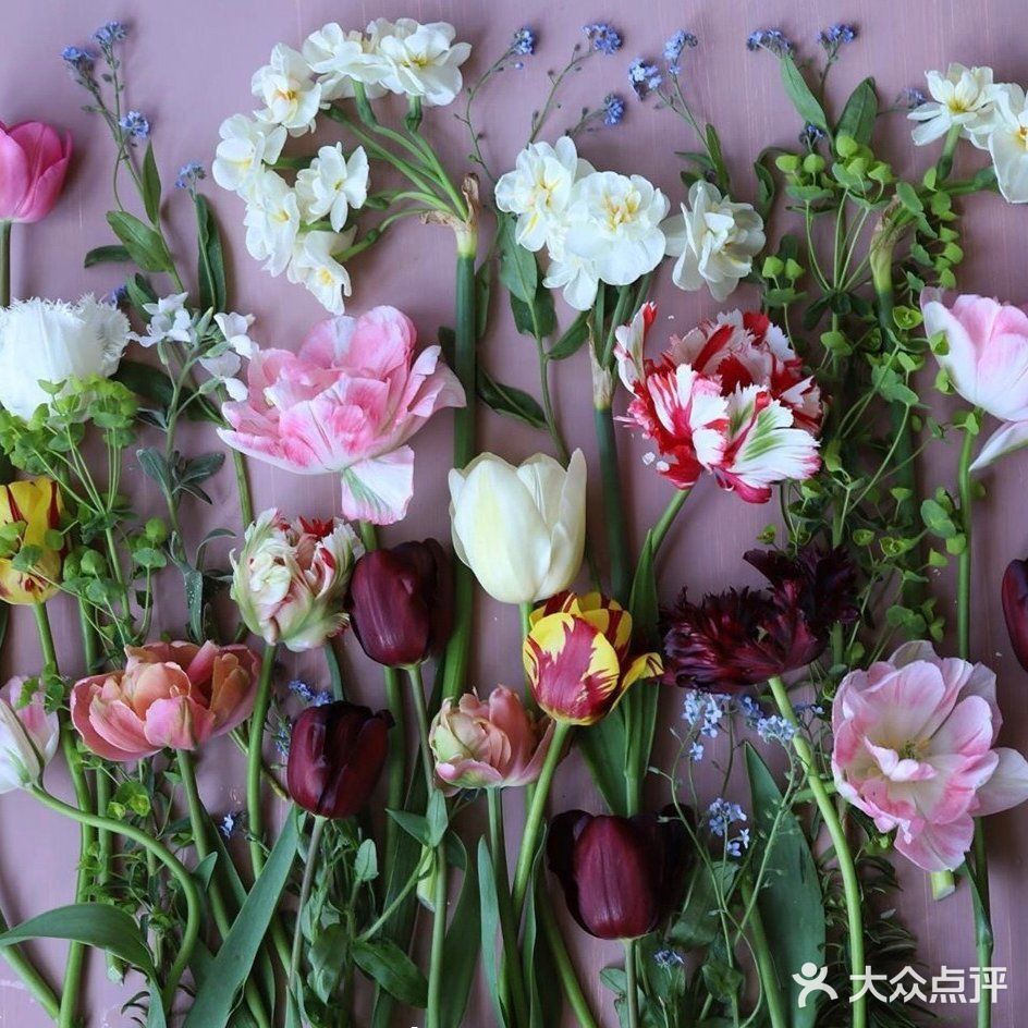 岁月如花，笑看花开，静赏花落是人生的一种极致