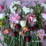 岁月如花，笑看花开，静赏花落是人生的一种极致