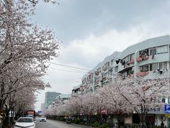 -永乐路-路侧停车场