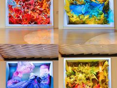 -德基艺术博物馆