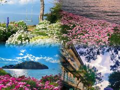 -崇圣寺三塔文化旅游区