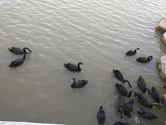 -天津东丽湖风景区