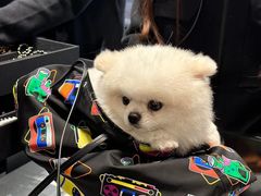 -CHANEL(恒隆广场店)