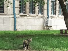 -东北大学(南湖校区)