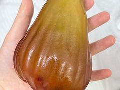 -油麻地果栏