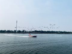 -南大港湿地风景区