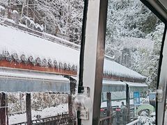 -碧峰峡风景区