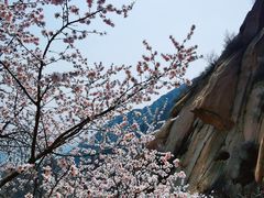 -北京凤凰岭