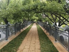 -清溪水库