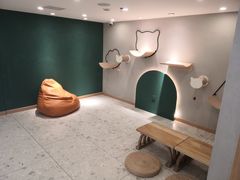 -飞行喵MR PILOT|猫舍·猫咖(静安大融城店)