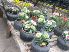 -瓦库茶馆17号(海汇港店)