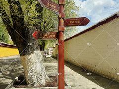 -罗布林卡