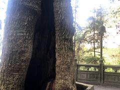 -安溪清水岩