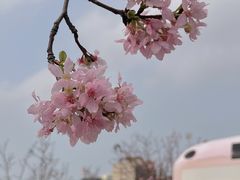 -小南山公园