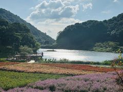 -广州市石门国家森林公园