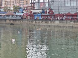 -星海水上乐园(星海广场圣亚店)