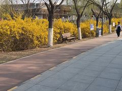 -南翠屏公园