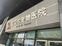 -艾贝尔宠物医院·24H转诊中心·肿瘤猫专科(江宁双龙店)