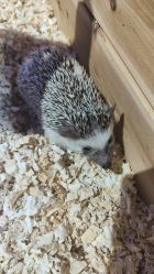 -酷嗒动物文化乐园(cutezoo西溪乐天城店)