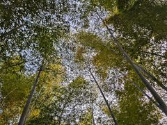 -同里国家湿地公园