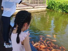 -枫香湖儿童公园