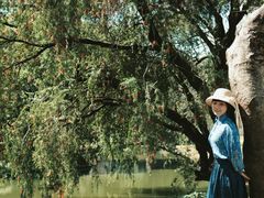 -人民公园(罗湖区)