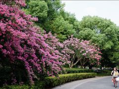 -杭州城北体育公园