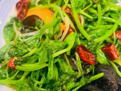 -小唐小四川水煮鱼(北三路店)