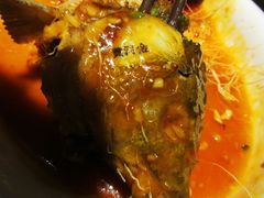 红烧黄河大鲤鱼-阿五黄河大鲤鱼(英协路店)