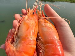 -七的湖·江南蟹舫·阳澄湖农家菜(蟹舫苑店)