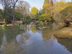 -洛阳市隋唐城遗址植物园