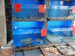 -浩家苑菜馆(汉口路店)