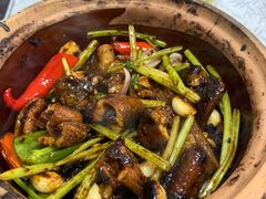 -天宝食坊·啫啫煲大排档(西华路店)