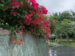 -石梅湾艾美度假酒店