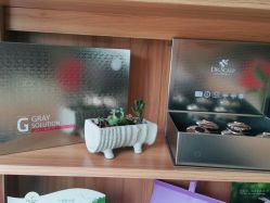 -丝客富脱发养发头皮馆