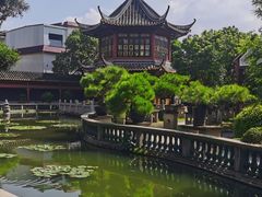-碧江金楼