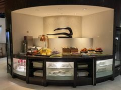 -虹桥机场国航贵宾室v8