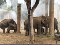 -石家庄市动物园