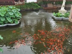 -沈大成(城隍庙店)