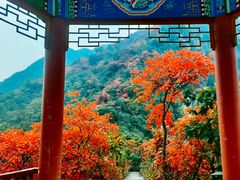 -太平万花山景区