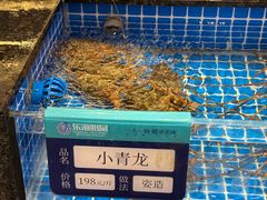 -东海怡品海鲜豆捞(舟宿夜江店)