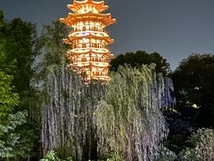 -洋湖国家湿地公园