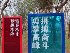 -玲珑塔公园