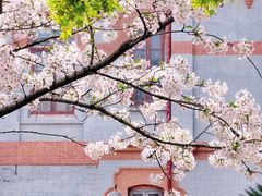 -华东政法大学(松江校区)