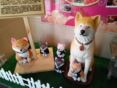 -大江户·温泉洗浴(浑南店)